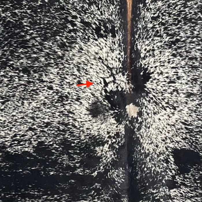 Closeup of this Black and White Speckled Brazilian Cowhide, showing one brand mark on the left side of the back  (BRSP3717)