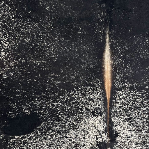 Closeup of this Speckled Brazilian Cowhide, showing black with white speckles and spots, and brown down the spine  (BRSP3717)