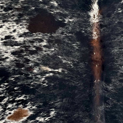 closeup of this XL Speckled Brazilian Cowhide, showing white with black speckles and spots, a few small, brown, spots, and brown down part of the spine  (BRSP3719)
