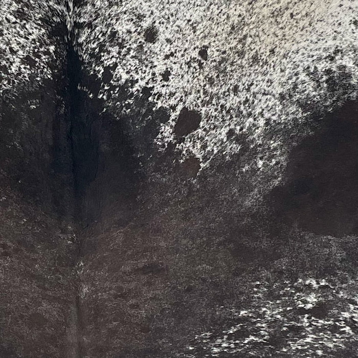 Closeup of this Speckled Brazilian Cowhide, showing white with black speckles and spots, and a mix of black and dark brown down the middle  (BRSP3720)