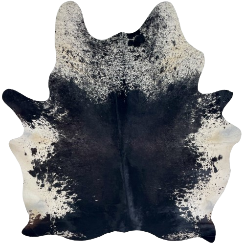 Black and White Speckled Brazilian Cowhide: mostly solid black on the back, butt, and shanks, white with black speckles and spots on the shoulder, and off-white with black speckles and spots on the belly - 7'3" x 5'10" (BRSP3721)