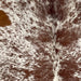 Closeup of this Speckled Brazilian Cowhide, showing ivory with brown speckles and spots (BRSP3722)