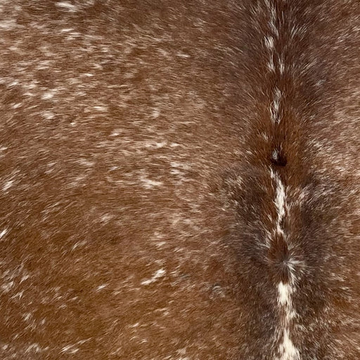Closeup of this Speckled Brazilian Cowhide, showing brown with white speckles (BRSP3724)