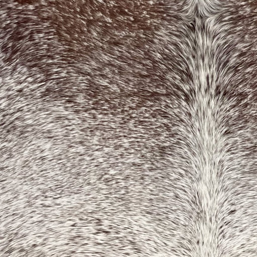 Closeup of this Speckled Brazilian Cowhide, showing white with brown speckles and spots, and one brand mark on the left side of the butt (BRSP3725)