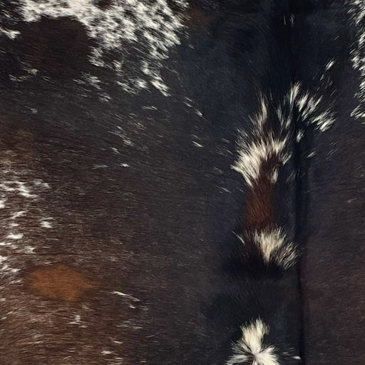 Closeup of this Speckled Brazilian Cowhide, showing white with dark brown and dark reddish brown speckles and spots  (BRSP3726)