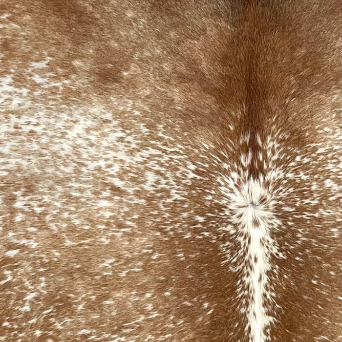 Closeup of this Speckled Brazilian Cowhide, showing white with brown speckles and spots (BRSP3727)