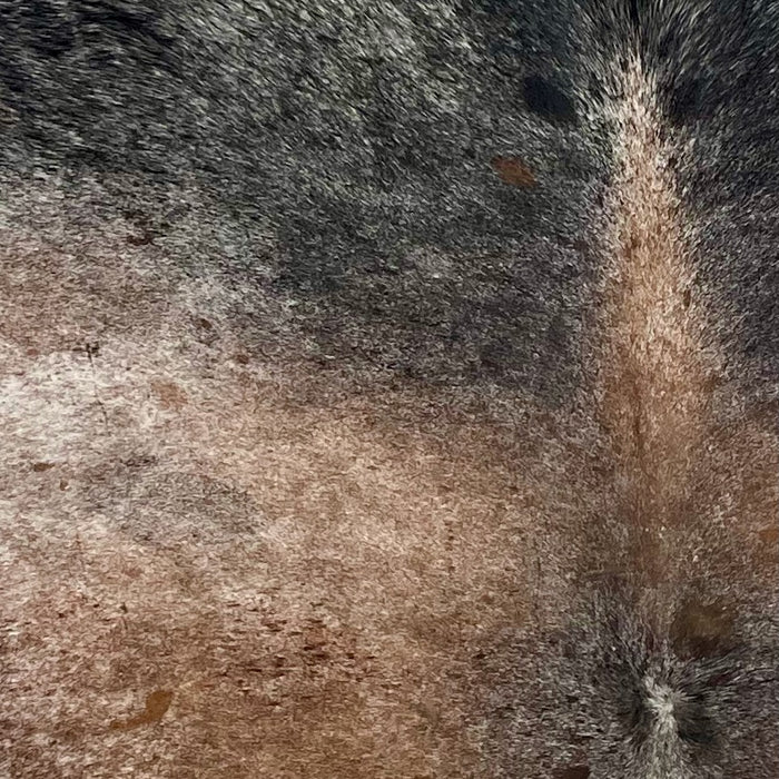 Closeup of this Tricolor Speckled Brazilian Cowhide, white with brown and black speckles and spots (BRSP3730)