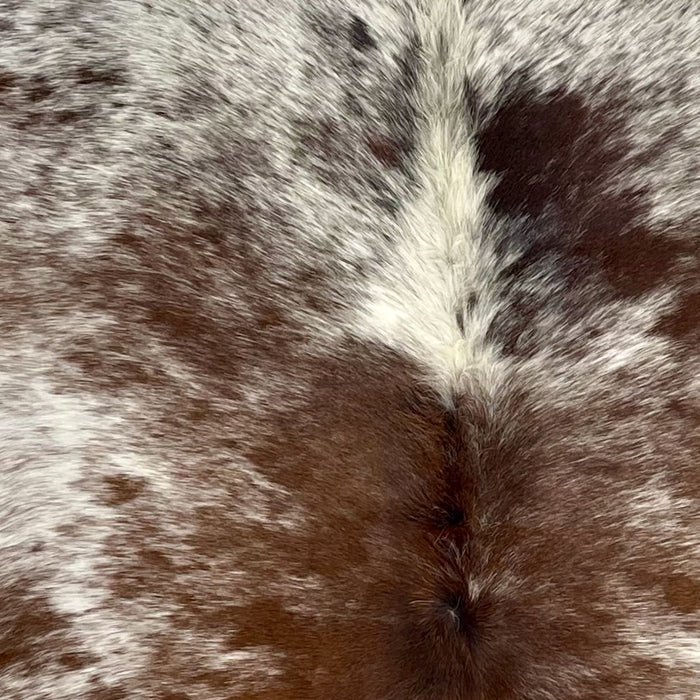 Closeup of this Speckled Brazilian Cowhide, showing white with reddish brown and dark brown speckles and spots  (BRSP3732)