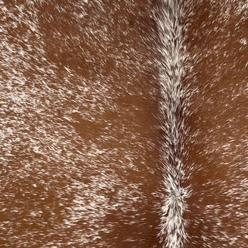Closeup of this Speckled Brazilian Cowhide, showing white with reddish brown and dark brown speckles and spots  (BRSP3733)