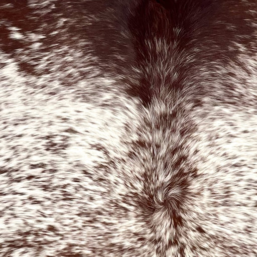 Closeup of this Speckled Brazilian Cowhide, showing white with dark reddish brown speckles and spots, and mostly solid reddish brown on the shoulder  (BRSP3734)