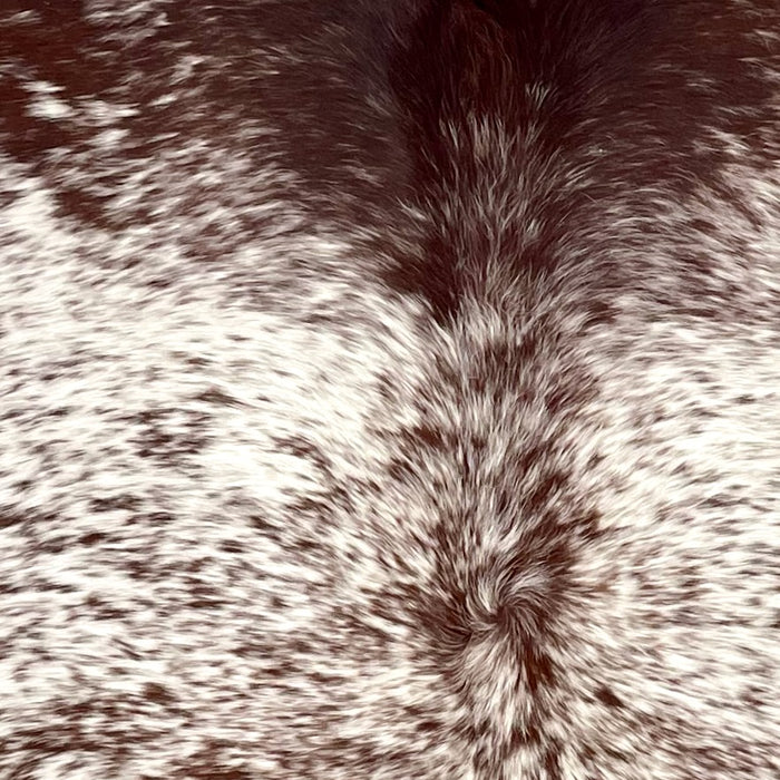 Closeup of this Speckled Brazilian Cowhide, showing white with dark reddish brown speckles and spots, and mostly solid reddish brown on the shoulder  (BRSP3734)