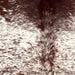 Closeup of this Speckled Brazilian Cowhide, showing white with dark reddish brown speckles and spots, and mostly solid reddish brown on the shoulder  (BRSP3734)