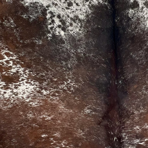 Closeup of this Speckled Brazilian Cowhide, showing brown with white speckles and spots, and white with brown speckles on the shoulder (BRSP3735)