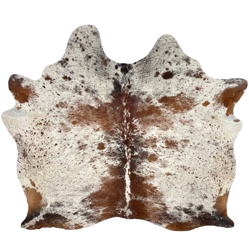 Tricolor Speckled Brazilian Cowhide: ivory with reddish brown and black speckles and spots, one brand mark on the right side of the back, and another on the right side of the butt - 6' x 5'8" (BRSP3736)