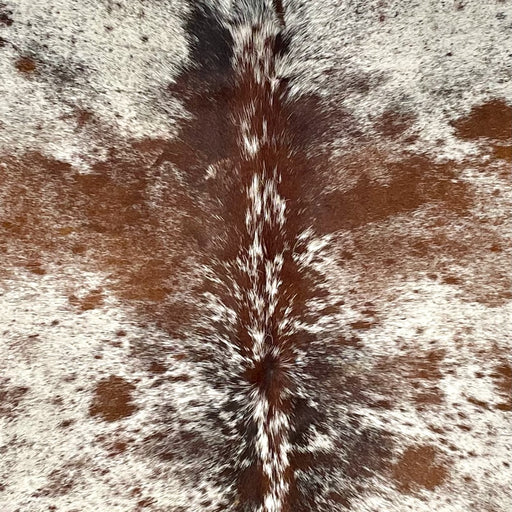 Closeup of t his Tricolor Speckled Brazilian Cowhide, showing ivory with reddish brown and black speckles and spots (BRSP3736)