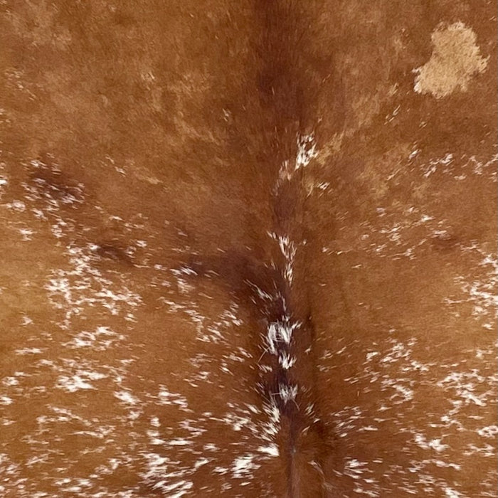 Closeup of this Speckled Brazilian Cowhide, showing brown with white speckles and spots (BRSP3737)