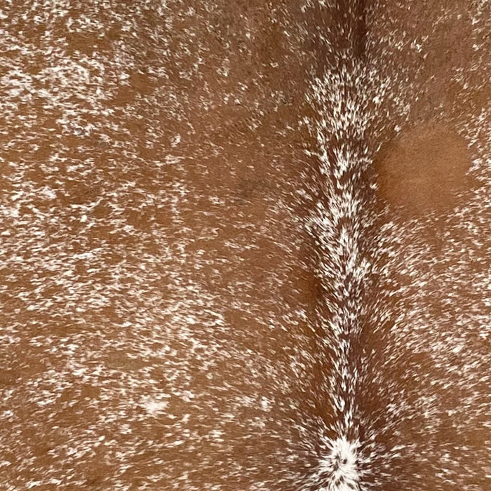 Closeup of this Speckled Brazilian Cowhide, showing brown with white speckles and spots (BRSP3738)