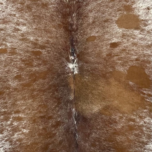 Closeup of this Speckled Brazilian Cowhide, showing white with brown speckles and spots (BRSP3741)