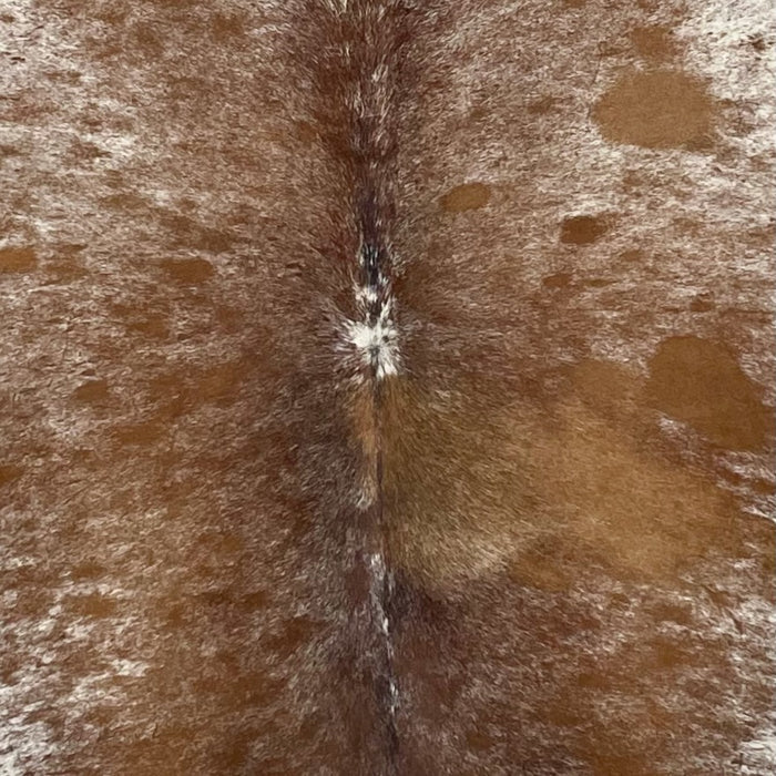 Closeup of this Speckled Brazilian Cowhide, showing white with brown speckles and spots (BRSP3741)