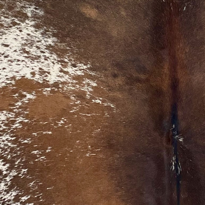Closeup of this Speckled Brazilian Cowhide, showing white with dark brown and golden brown spots and speckles  (BRSP3742)
