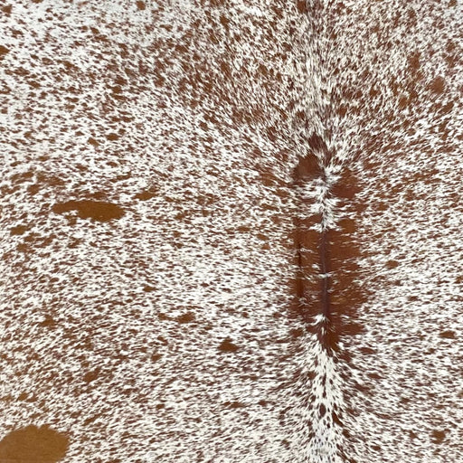 Closeup of this Speckled Brazilian Cowhide, showing white with brown speckles and spots (BRSP3743)