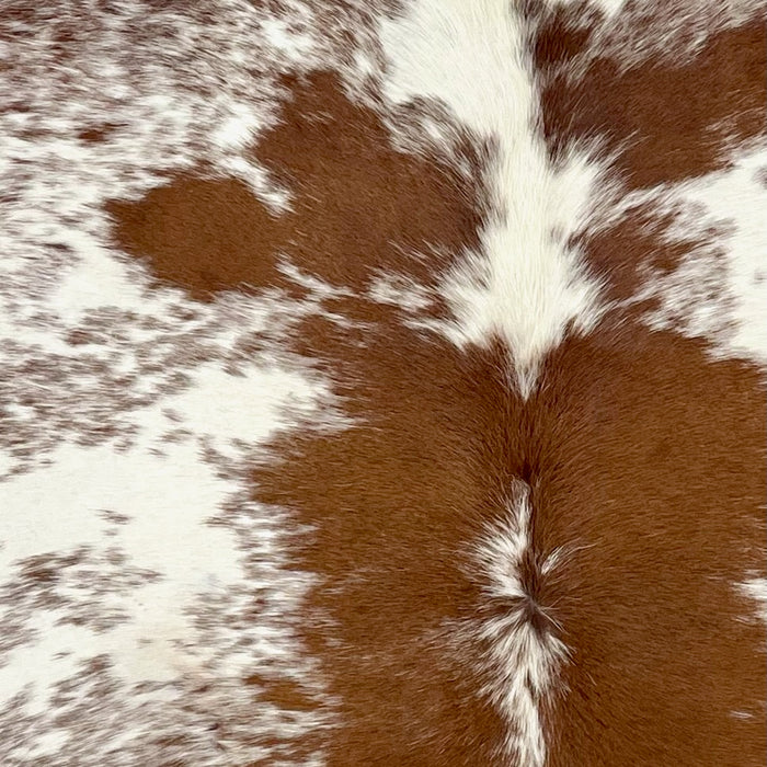 Closeup of this Speckled Brazilian Cowhide, showing white with reddish brown speckles and spots (BRSP3745)