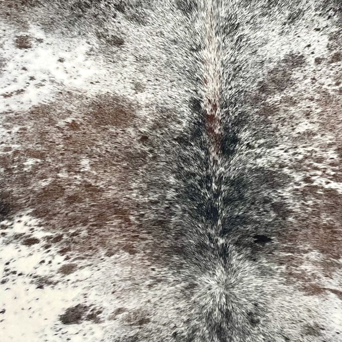Closeup of this Tricolor Speckled Brazilian Cowhide, showing white with black and brown speckles and spots (BRSP3747) 