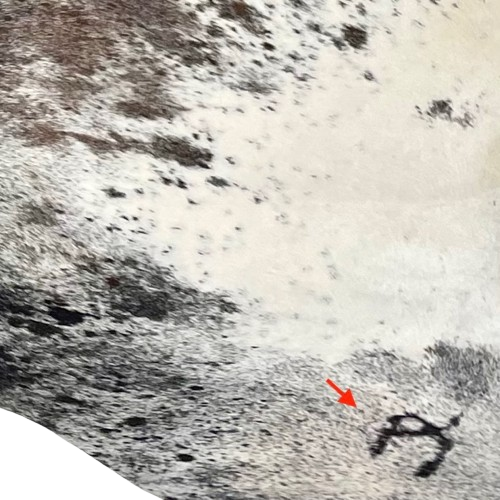 Closeup of this Tricolor Speckled Brazilian Cowhide, showing one brand mark on the right, hind shank (BRSP3747)