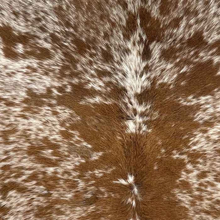 Closeup of this Speckled Brazilian Cowhide, showing white with reddish brown spots and speckles (BRSP3749)