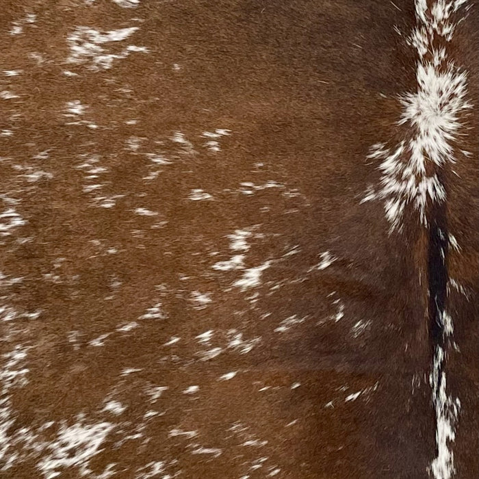 Closeup of this Speckled Brazilian Cowhide, showing brown with white speckles and spots (BRSP3750)