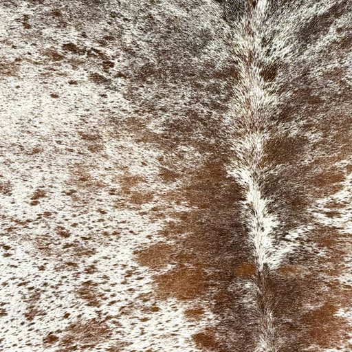 Closeup of this Speckled Brazilian Cowhide, showing white with brown speckles and spots (BRSP3759)
