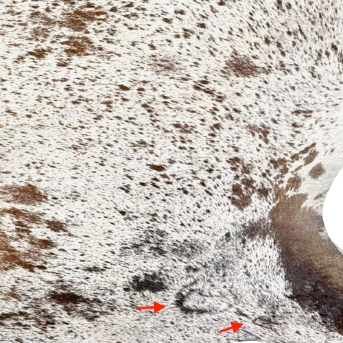 Closeup of this brown and white Speckled Brazilian Cowhide, showing two brand marks on the left side of the butt  (BRSP3759)