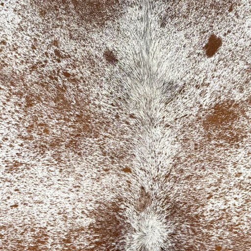 Closeup of this Speckled Brazilian Cowhide, showing white with brown speckles and spots (BRSP3762)