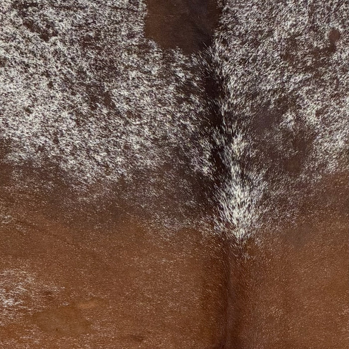 Closeup of this Large Speckled Brazilian Cowhide, showing mostly solid, reddish brown on the back, and dark brown speckles and spots on the shoulder  (BRSP3763)