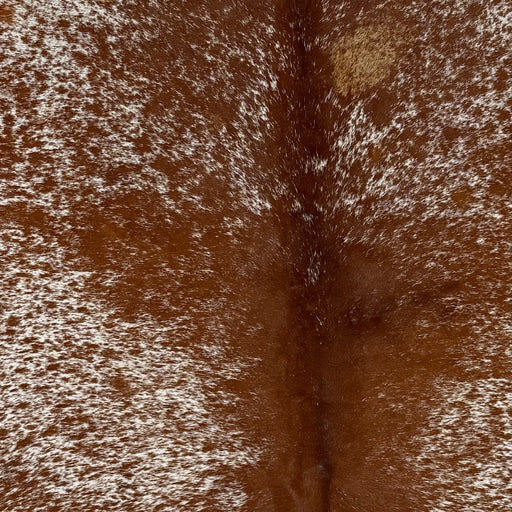 Closeup of this Speckled Brazilian Cowhide, showing white with reddish brown speckles and spots (BRSP3764)