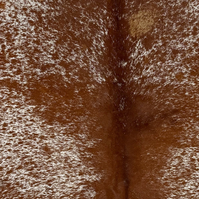 Closeup of this Speckled Brazilian Cowhide, showing white with reddish brown speckles and spots (BRSP3764)