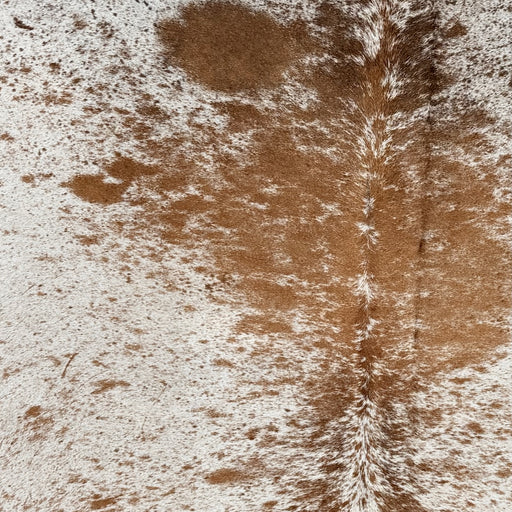 Closeup of this Large Speckled Brazilian Cowhide, showing white with brown speckles and spots (BRSP3765)