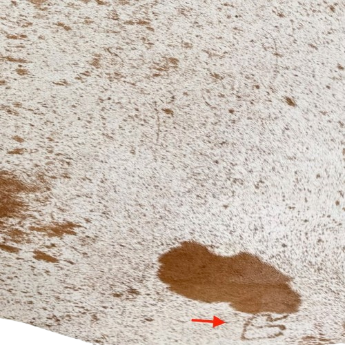 Closeup of this Large White and Brown Speckled Brazilian Cowhide, showing one brand mark on the right side of the butt  (BRSP3765)