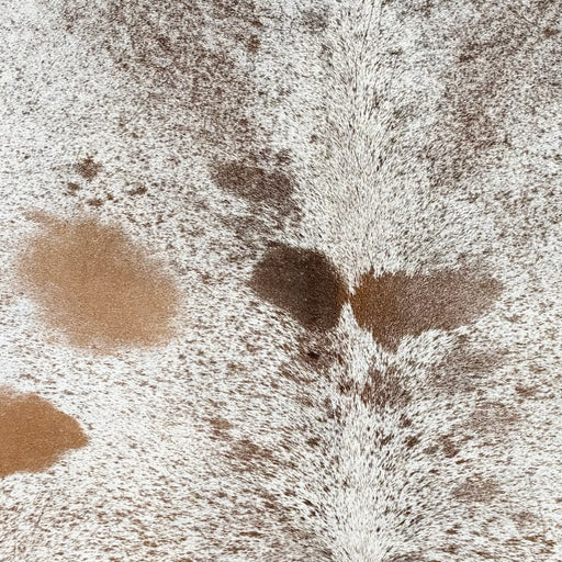 Closeup of this Large Speckled Brazilian Cowhide, showing white with brown speckles and spots (BRSP3766)