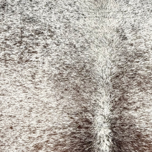 Closeup of this Large Tricolor Speckled Brazilian Cowhide, showing white with brown and black speckles and spots   (BRSP3767)