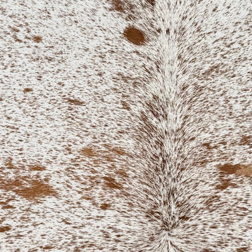Closeup of this Large Speckled Brazilian Cowhide, showing white with brown speckles and spots (BRSP3769)