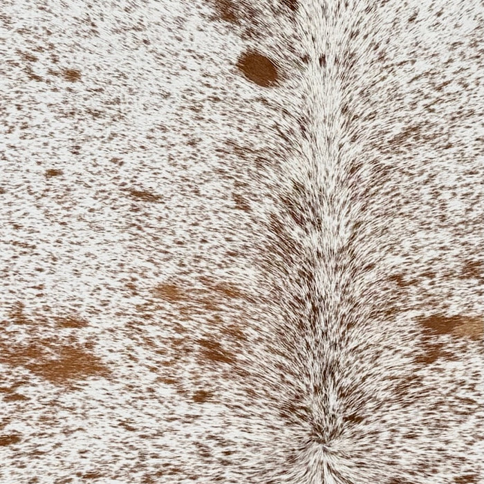 Closeup of this Large Speckled Brazilian Cowhide, showing white with brown speckles and spots (BRSP3769)