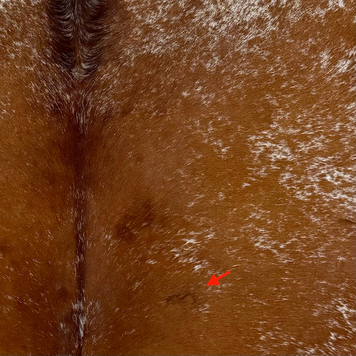 Closeup of this Speckled Brazilian Cowhide, showing white with reddish brown speckles and spots, and one brand mark on the right side of the back (BRSP3771)