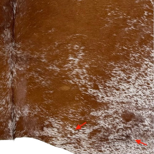 Closeup of this reddish brown and white Speckled Brazilian Cowhide, showing two brand marks on the right side of the butt   (BRSP3771)