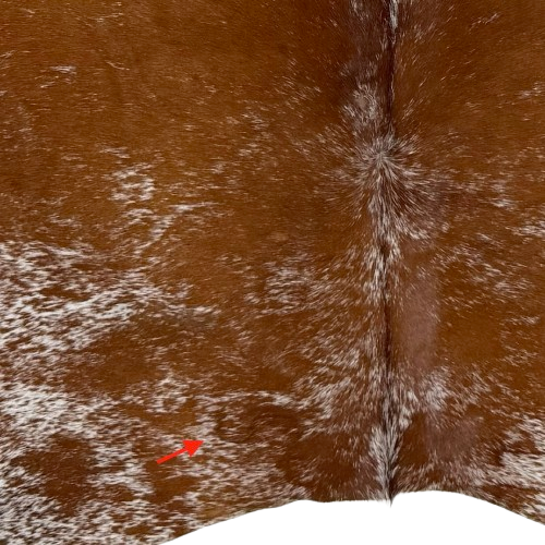 Closeup of this reddish brown and white Speckled Brazilian Cowhide, showing one brand mark on the left side of the butt  (BRSP3771)