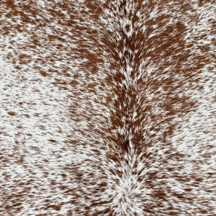 Closeup of this Speckled Brazilian Cowhide, showing white with brown speckles and spots (BRSP3772)