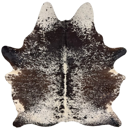 Large Dark Brown and Ivory Speckled Brazilian Cowhide: ivory with dark brown speckles and spots - 7'7" x 6'2" (BRSP3774)