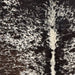 Closeup of this Large  Speckled Brazilian Cowhide, showing ivory with dark brown speckles and spots (BRSP3774)