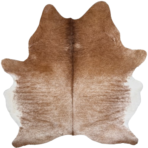XL Brown and White Speckled Brazilian Cowhide: brown with white speckles and spots, and white on the belly, and one brand mark on the left side of the butt  - 8'1" x 6'9" (BRSP3775)