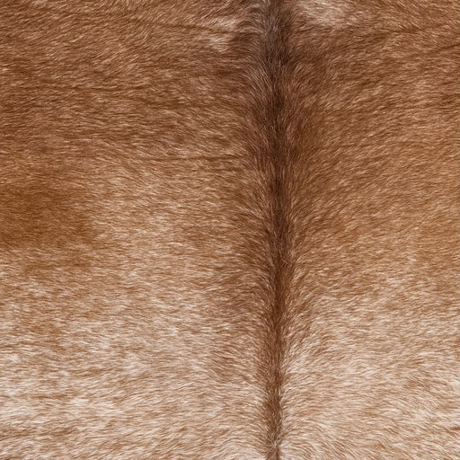 Closeup of this XL Speckled Brazilian Cowhide, showing brown with white speckles (BRSP3775)